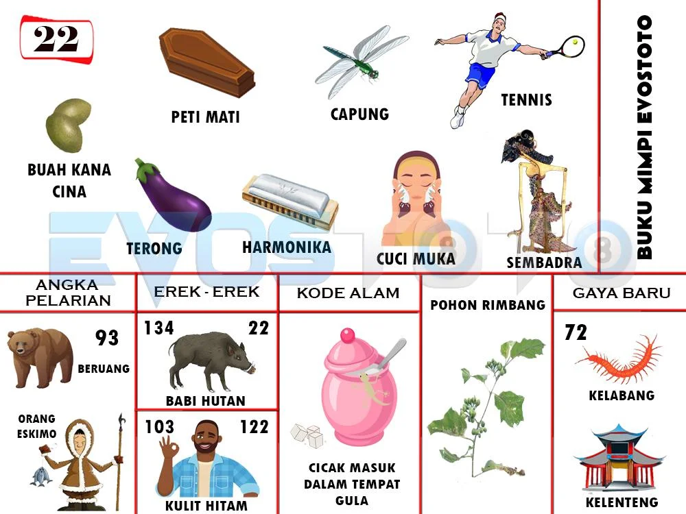 buku mimpi erek erek togel 22